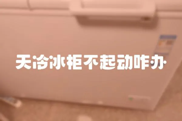 天冷冰柜不起動咋辦