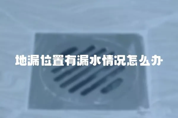 地漏位置有漏水情況怎么辦