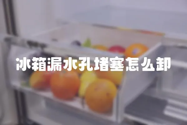 冰箱漏水孔堵塞怎么卸