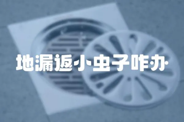 地漏返小蟲子咋辦