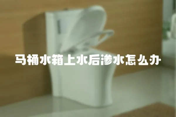 馬桶水箱上水后滲水怎么辦
