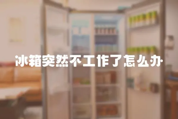 冰箱突然不工作了怎么辦