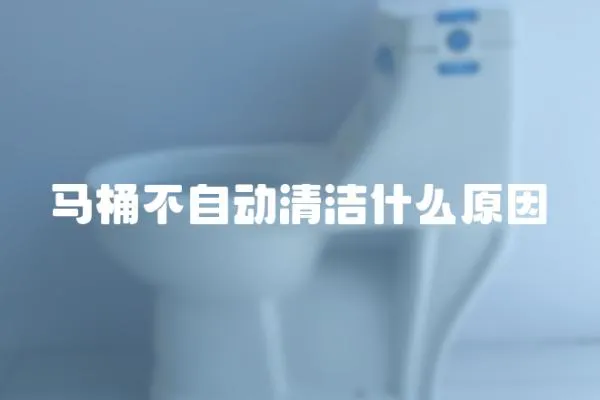 馬桶不自動清潔什么原因