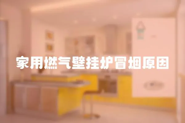 家用燃氣壁掛爐冒煙原因