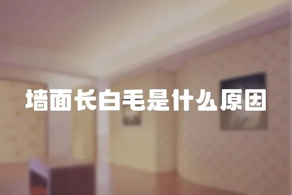 墻面長白毛是什么原因