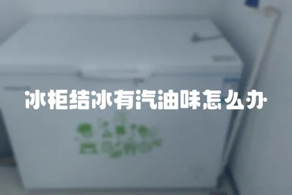 冰柜結(jié)冰有汽油味怎么辦