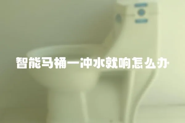 智能馬桶一沖水就響怎么辦