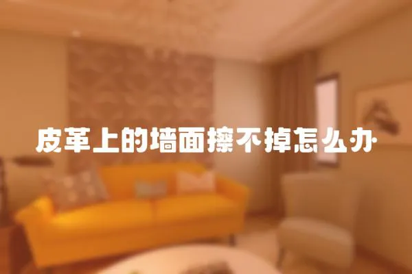 皮革上的墻面擦不掉怎么辦