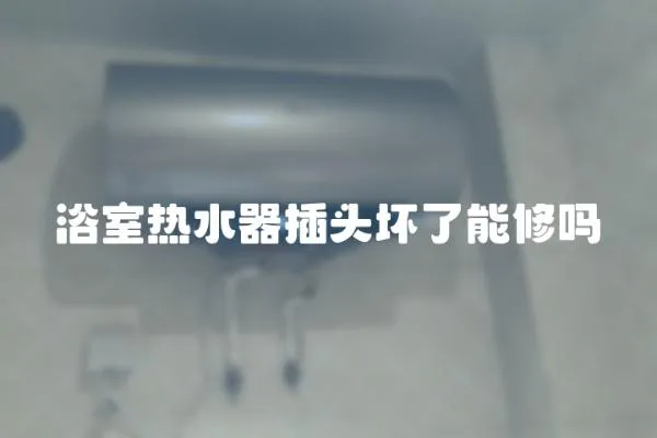 浴室熱水器插頭壞了能修嗎