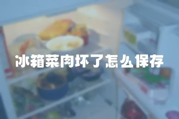 冰箱菜肉壞了怎么保存