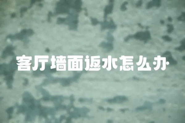 客廳墻面返水怎么辦