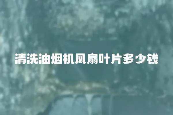 清洗油煙機(jī)風(fēng)扇葉片多少錢