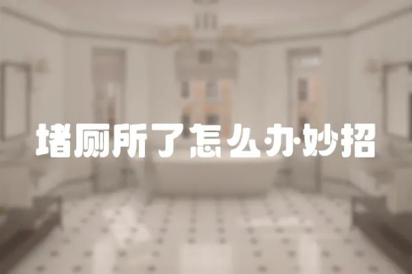 堵廁所了怎么辦妙招