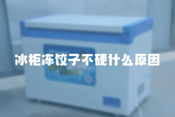 冰柜凍餃子不硬什么原因
