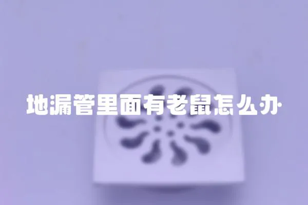 地漏管里面有老鼠怎么辦