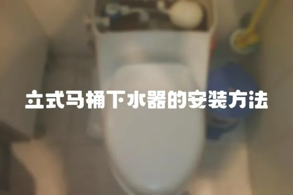 立式馬桶下水器的安裝方法