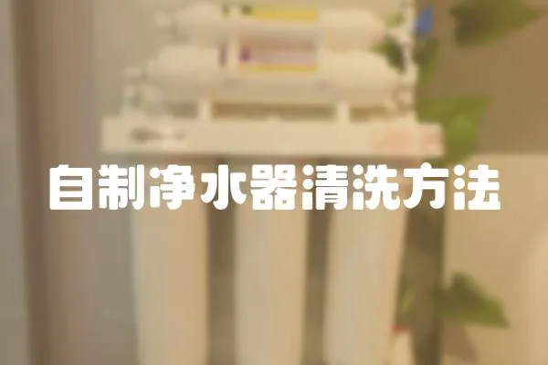 自制凈水器清洗方法