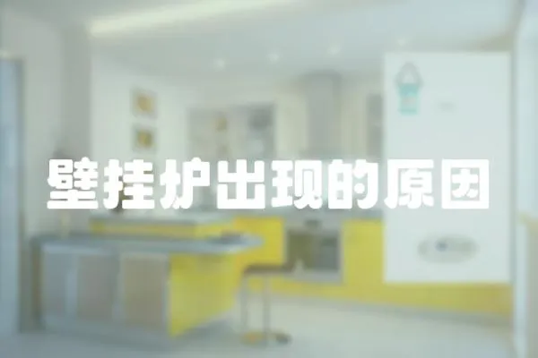 壁掛爐出現(xiàn)的原因