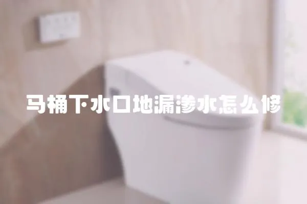 馬桶下水口地漏滲水怎么修