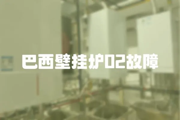 巴西壁掛爐02故障