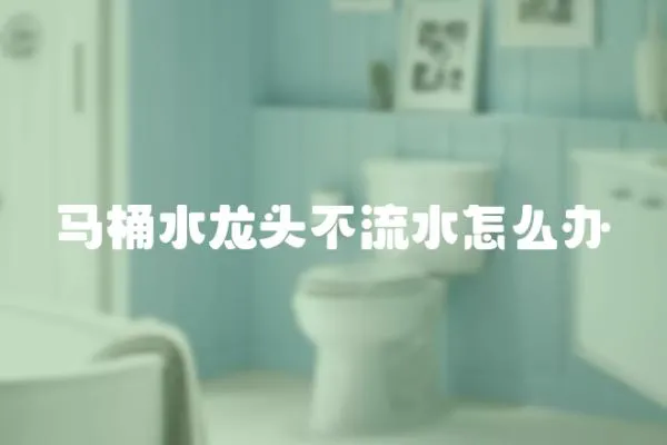 馬桶水龍頭不流水怎么辦