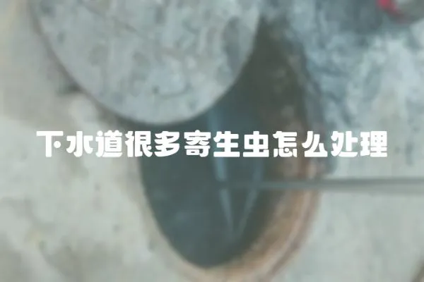 下水道很多寄生蟲怎么處理