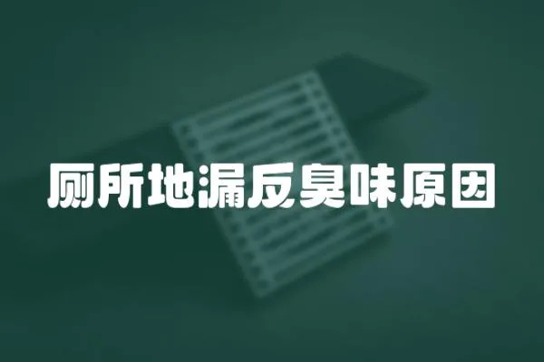 廁所地漏反臭味原因