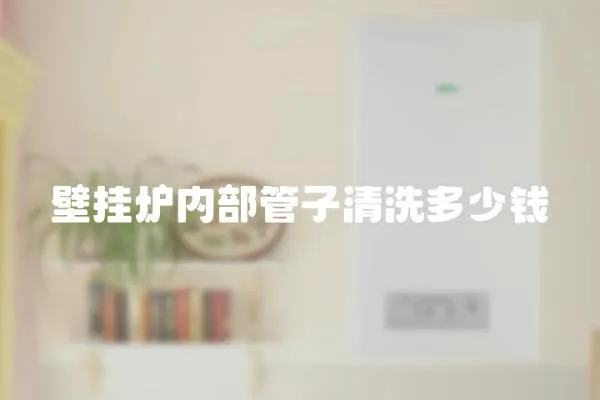 壁掛爐內(nèi)部管子清洗多少錢