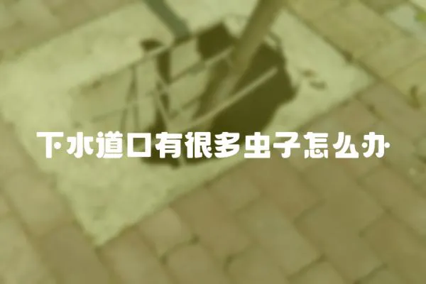 下水道口有很多蟲子怎么辦