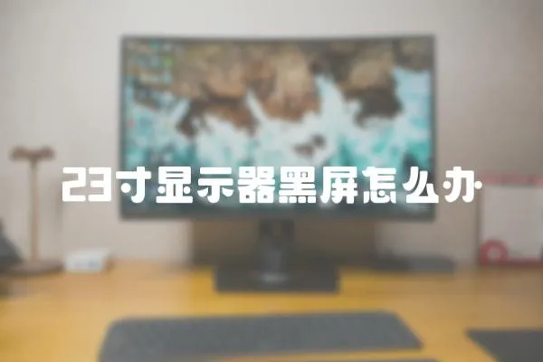 23寸顯示器黑屏怎么辦