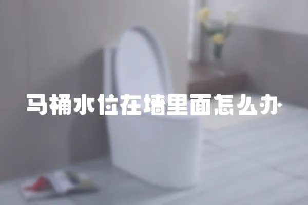 馬桶水位在墻里面怎么辦