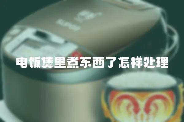電飯煲里煮東西了怎樣處理