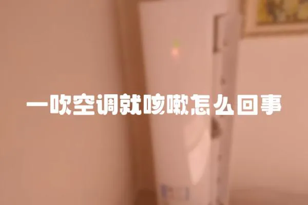 一吹空調(diào)就咳嗽怎么回事