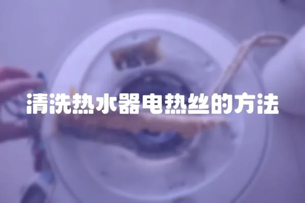清洗熱水器電熱絲的方法