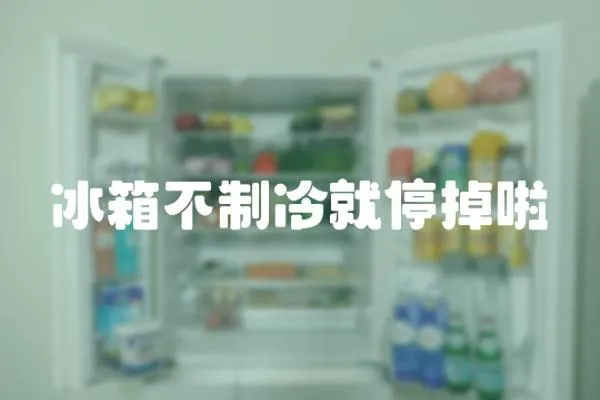 冰箱不制冷就停掉啦