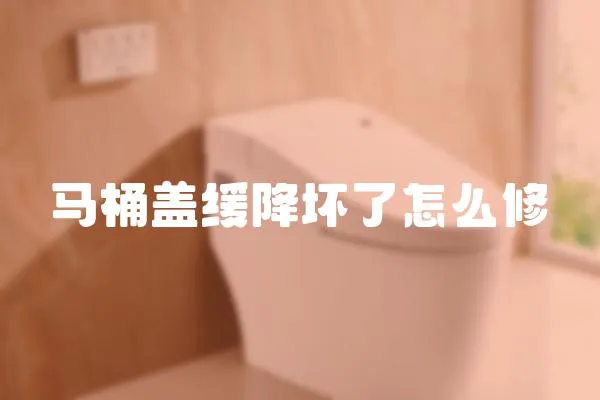 馬桶蓋緩降壞了怎么修