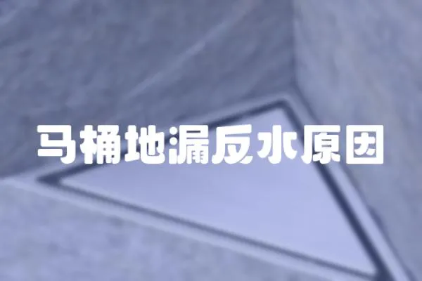 馬桶地漏反水原因