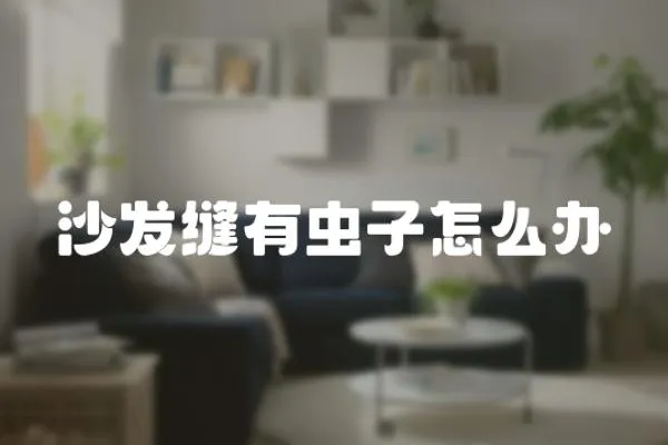 沙發(fā)縫有蟲子怎么辦