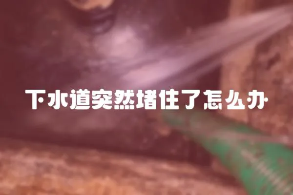 下水道突然堵住了怎么辦