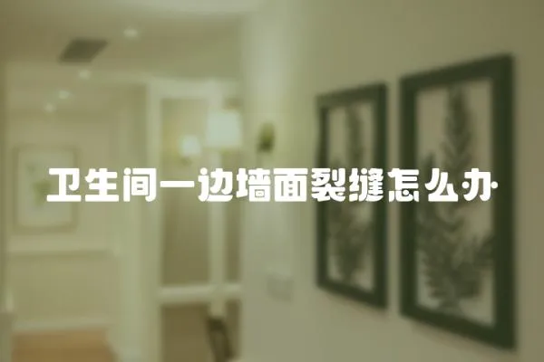 衛生間一邊墻面裂縫怎么辦