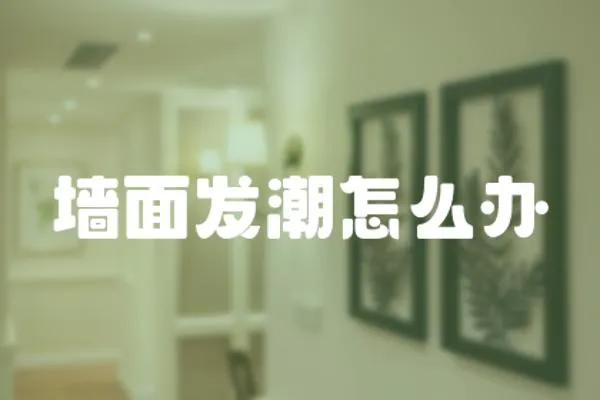 墻面發潮怎么辦