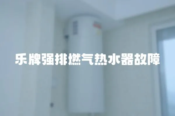 樂牌強排燃氣熱水器故障