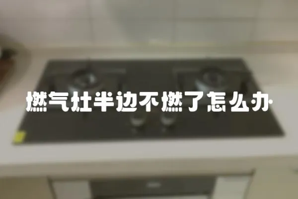 燃?xì)庠畎脒叢蝗剂嗽趺崔k