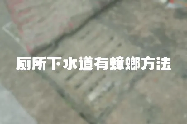 廁所下水道有蟑螂方法