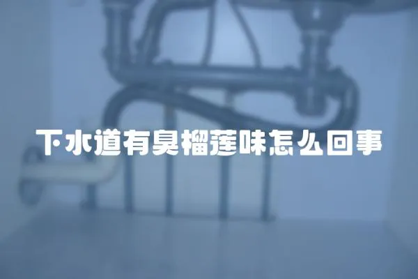 下水道有臭榴蓮味怎么回事
