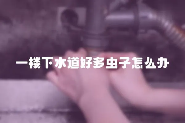 一樓下水道好多蟲子怎么辦