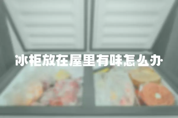 冰柜放在屋里有味怎么辦