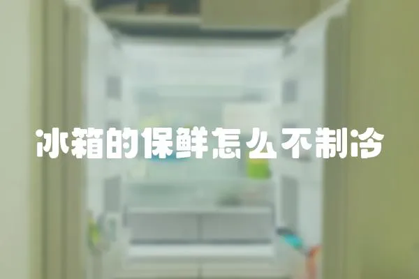 冰箱的保鮮怎么不制冷