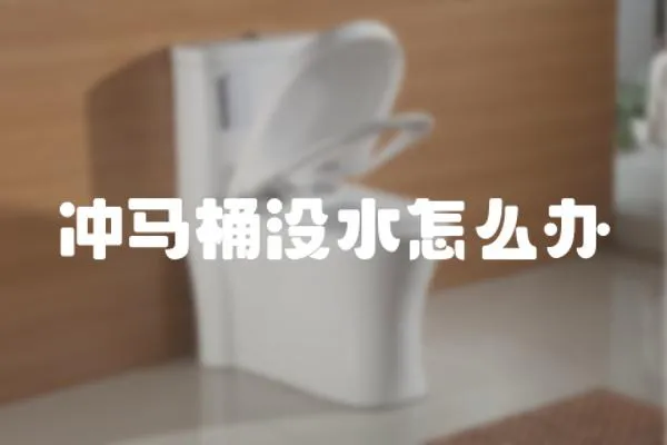 沖馬桶沒水怎么辦