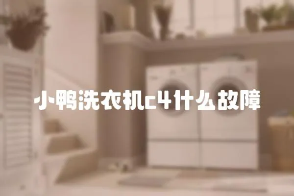 小鴨洗衣機c4什么故障